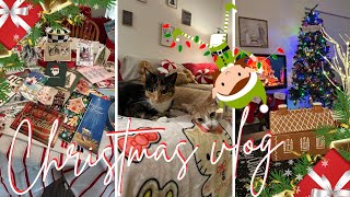 Christmas Vlog w/ @SwaysDeals Christmas Hangout With Me🎄🎁 #vlogmas #vlogmas2024 #swaysdeals