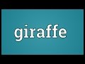 Giraffe Meaning