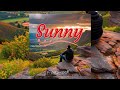 SUNNY DAY - Zhisco GCR ( Audio )