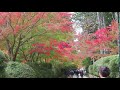 高野山　紅葉