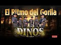 Los Dinos de Chile - 🦍 El Ritmo del Gorila 🤠🦖