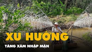 Tin tức sáng 21-2: Xâm nhập mặn xu hướng tăng, các tỉnh Đồng bằng sông Cửu Long chủ động ứng phó