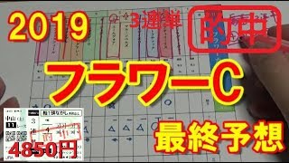 フラワーカップ2019　最終予想【競馬予想】