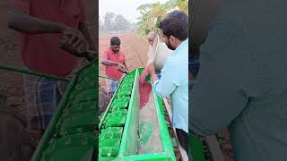 Vivasayam and harvesting #shorts