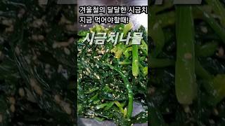 #제철음식이 보약입니다! 겨울철의 달달한 시금치/지금 먹어야할때 \