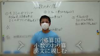 ナンバーワンゼミナール　小5算国　24,6,4 ダイジェスト版(小数のわり算・漢文に親しむ)