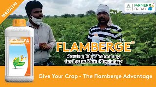 “You can Use Flamberge in a Bindaas Way,” Mr. Vijay Pannase