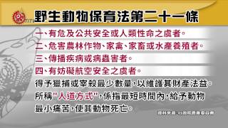 山羌壞作物 布農獵人獵捕遭提告 2015-04-15 TITV 原視新聞