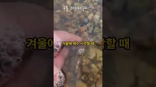 우리언니 진짜 개패고싶다