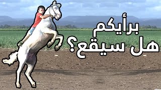 خيل وخيالة - Knight horses