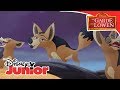 Wir sind schlauer ♫ Die Garde der Löwen ♫ Disney Junior Musik