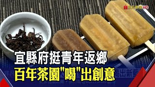 宜蘭青年返鄉創業 百年茶園靠創新\