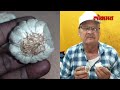 cement garlic fraud जेवणात फोडणी सिमेंटच्या लसणाची लसूण घेताय जरा जपून akola news ac3