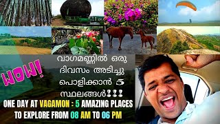 VAGAMON - ONE DAY PLAN TO SEE 5 BEST PLACES - വാഗമണ്ണിൽ ഒറ്റ ദിവസം 5 കിടിലൻ സ്ഥലങ്ങൾ കാണാൻ!