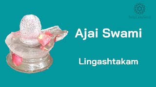 Ajai Swami - Lingashtakam Stotram