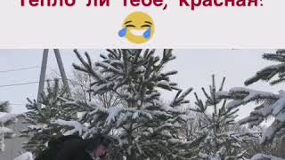 Тепло ли тебе, девица? Тепло ли тебе, красная? 😂