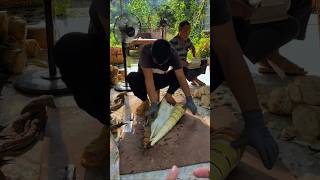 Bamboo shoot planting harvest, fast cutting and peeling, fresh and delicious。竹筍種植收穫，快速切割剝皮，鮮嫩好吃，筍味十足