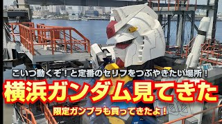 【こいつ動くぞ！】横浜ガンダム立像みてきたよ！RX-78 F00 【限定ガンプラも】