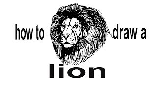 How to draw a lion, draw the animals