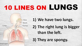 10 Lines on Lungs in English | Few Sentences about Lungs