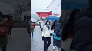 ❄️京都2022年的初雪，清水寺一夜化身雪國，夢幻的世界！