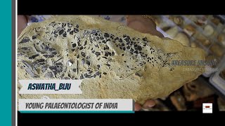 Paleonthologist   Ashwatha || Treasure Unsung