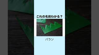 この画像は何かわかる？#shorts