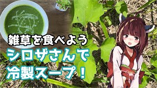 【思い切って野草を食べてみよう】#29 シロザさんで「冷製スープ」！