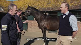 The Extraordinary Tour - Overbury Stud