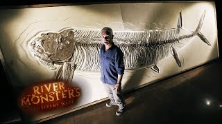 The Prehistoric Monster Xiphactinus | River Monsters