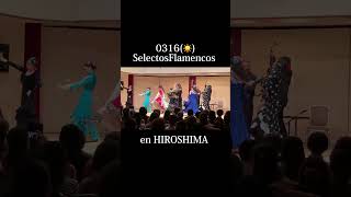 0316 SelectosFlamencos en HIROSHIMA #salaandaluza #flamenco #モネオ親子 #flamencolive #ライブ #iberia #広島