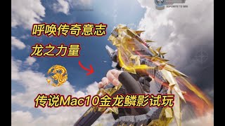 【使命召唤手游】龙之力量！全新传说Mac9+1金龙鳞影试玩！#白嫖氪学家