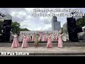 jst nagoya hawaiʻi festival 2024「カウラナトヨフラスタジオ u0026kanalani」ステージ