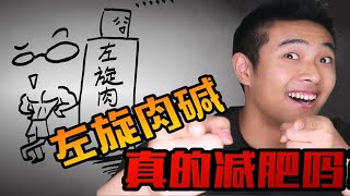 左旋肉碱真的有用吗？【XJBL健身小讲堂】