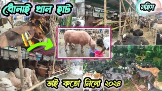 পুরান ঢাকা ধোলাইখাল বিশাল গরু ছাগলের হাট, জমজমাট হাট ২০২৪ Dholikhal haat 2024 #cow_haat #asik_Agro