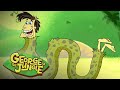 Snake George | George Of The Jungle | Full Episode | Videos for Kids