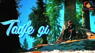 Tadfe gi ( Nsm Official Video ) Jorge Gill | New song music | Latest Punjabi Song 2023