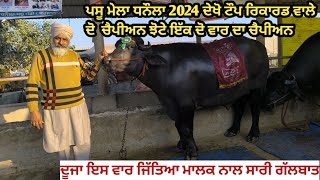 ਪਸੂ ਮੇਲਾ ਧਨੌਲਾ 2024 ਵੇਖੋ 2 ਵਾਰ ਦੇ ਚੈਪੀਅਨ ਝੋਟੇ। ਟੌਪ ਰਿਕਾਰਡ ਦੇ ਮਾਲਕ ਨਾਲ ਸਾਰੀ ਗੱਲਬਾਤ।