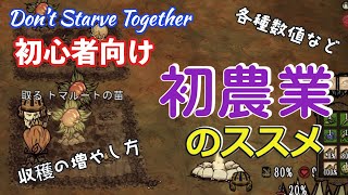 【Don't Starve Together】初心者向け 農業・野菜作り 解説 ～初めての農業で気にするべきこと～【ドンスタ 】