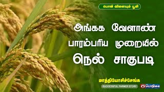 அங்கக வேளாண் முறையில் பாரம்பரிய முறையில் நெல் சாகுபடி |  Successful Farmer Story | 09 - 06 -2022