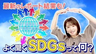 アナウンサーがSDGsを本気で解説！！これで分かったSDGs