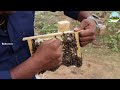 🔴தேனீ வளர்ப்பு மற்றும் பராமரிப்பு 🔴bee keeping and maintenance dr.விவசாயம்