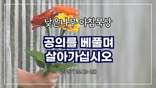 [낮은나무 아침묵상] _공의를 베풀며 살아가십시오 _신명기 24:101-3 _신원동 낮은나무교회