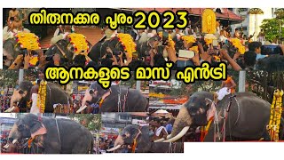 Thirunakkara Pooram mass Entry of Elephants, Thirunakkara Pooram 2023