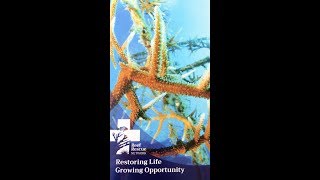 Reef Rescue Network