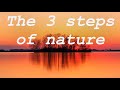 Synthesis of Yoga: The 3 steps of nature - Sri Aurobindo