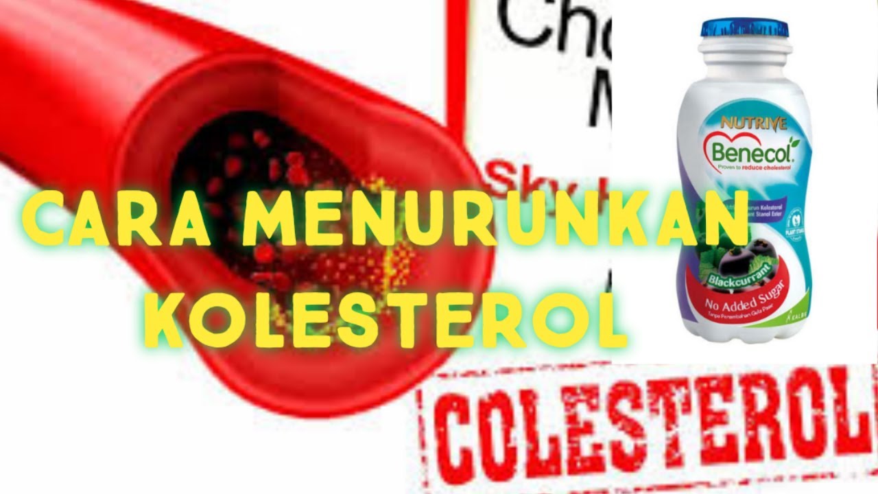 Cara Mudah Dan Enak Menurunkan Kadar Kolesterol Dalam Darah Dengan ...