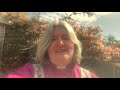 bishop ruth s somerset day 2020 message