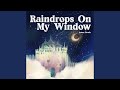 Raindrops On My Window