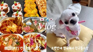 Vlog Japan Day 3. Recommend food to eat with your friends during your trip to Korea